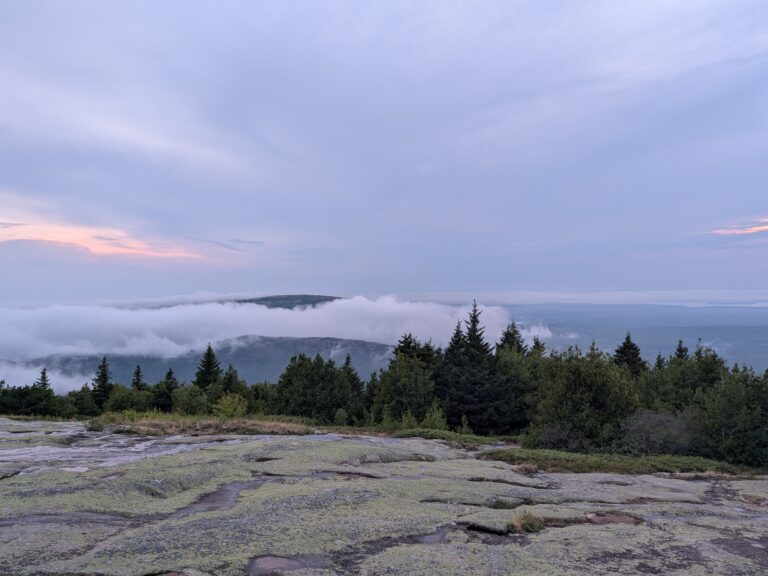 Field Notes #8: Part 1 – Southwest Harbor, ME
