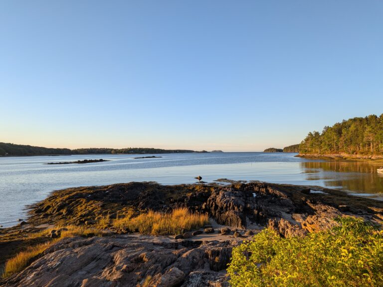 Field Notes #14 – Georgetown, ME