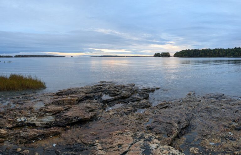 Field Notes #15 – Freeport, ME (Near Ocean)